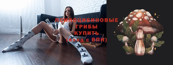 PSILOCYBIN Беломорск