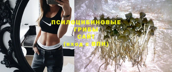 PSILOCYBIN Беломорск