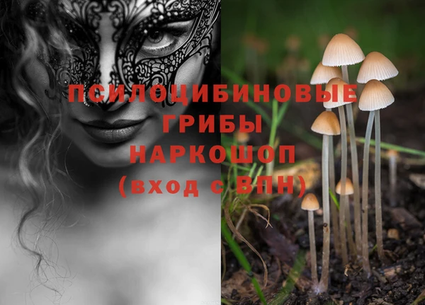 МДМА Белокуриха