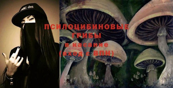 PSILOCYBIN Беломорск